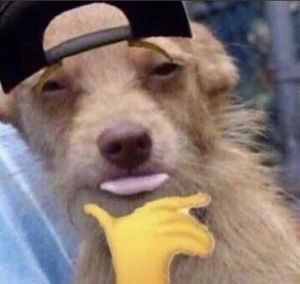 Meet your Posher, Finessabihh